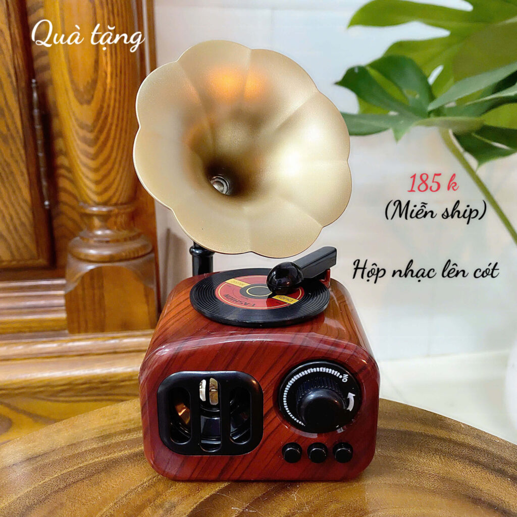 Mô hình hộp nhạc dây cót cổ điển